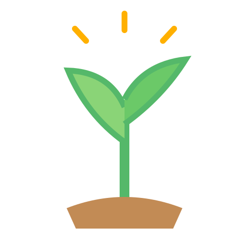 Positive encouraging environment